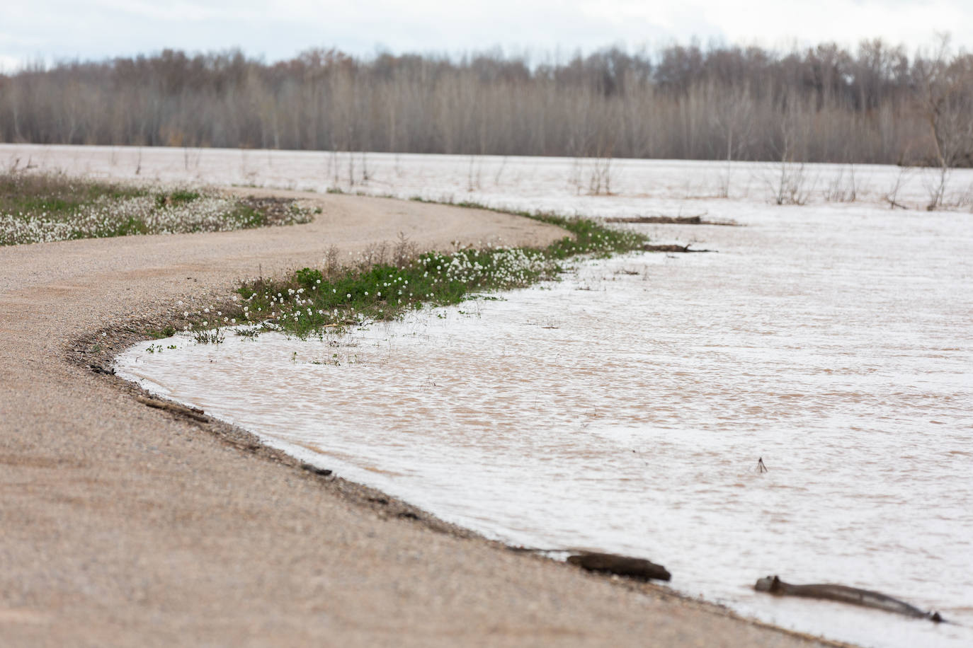 Así bajaba el Ebro por Alfaro