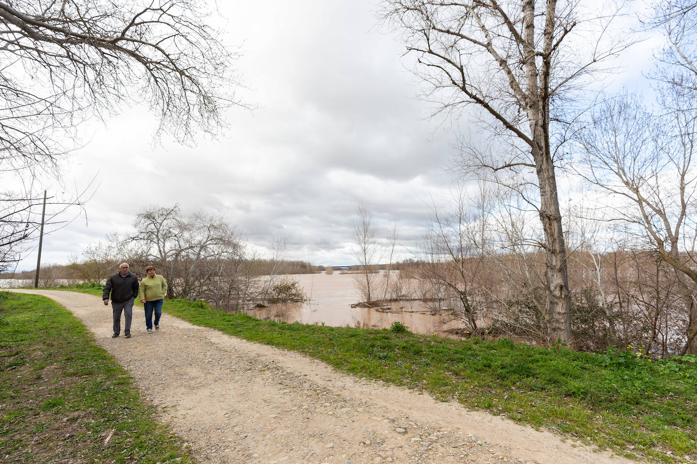 Así bajaba el Ebro por Alfaro