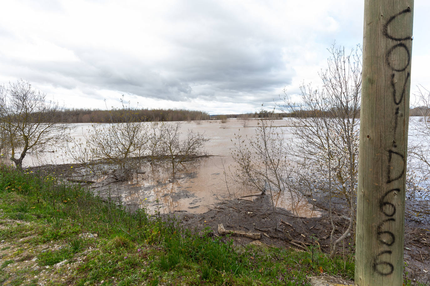 Así bajaba el Ebro por Alfaro