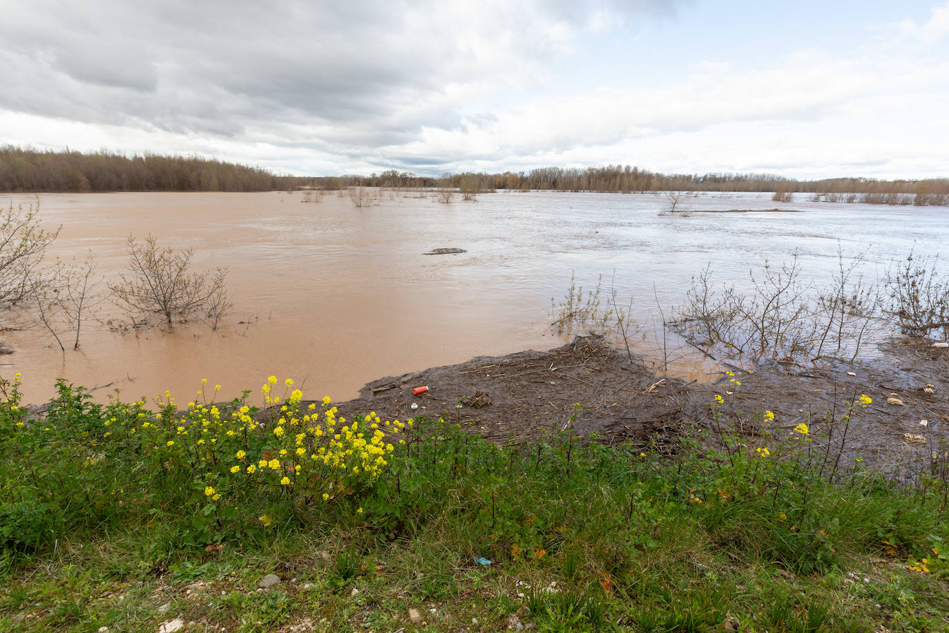 Así bajaba el Ebro por Alfaro