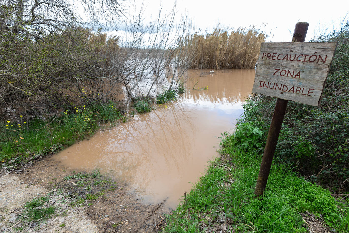 Así bajaba el Ebro por Alfaro