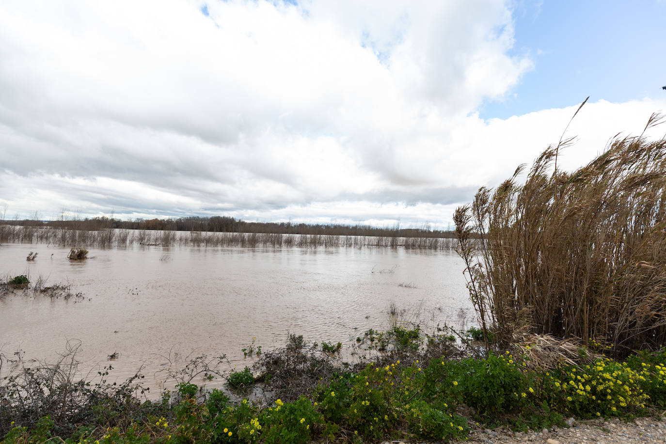 Así bajaba el Ebro por Alfaro