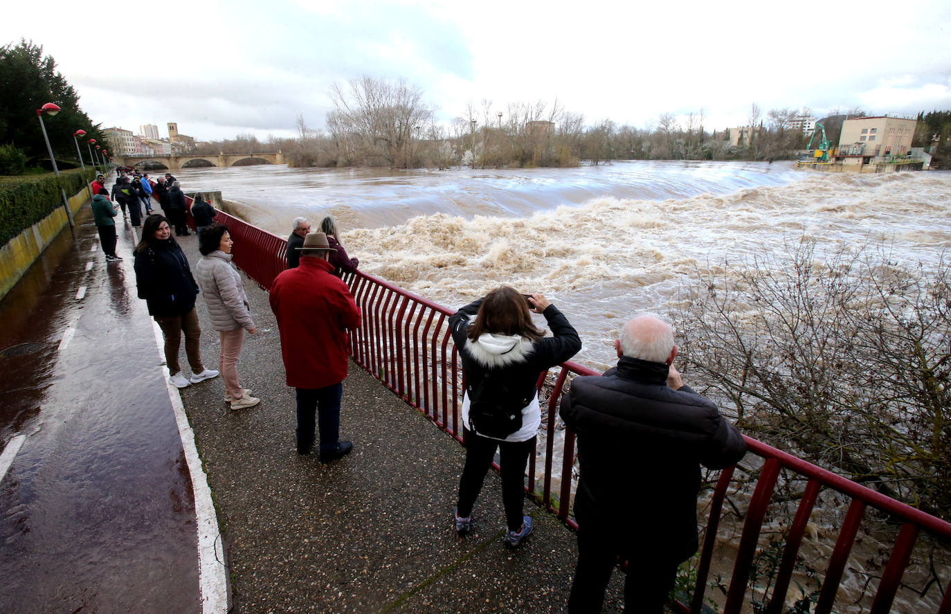 El Ebro alcanza a los 4,09 metros en Logroño