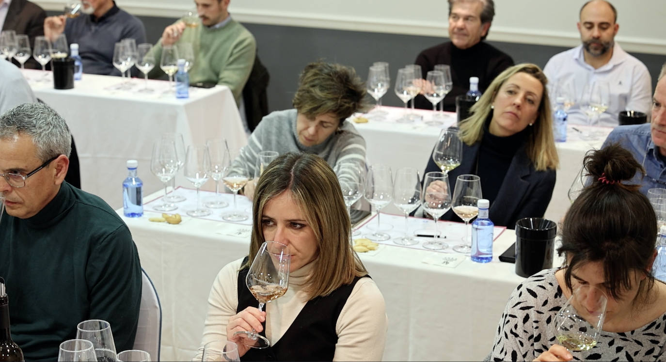 La cata de Bodegas Sínodo, en imágenes