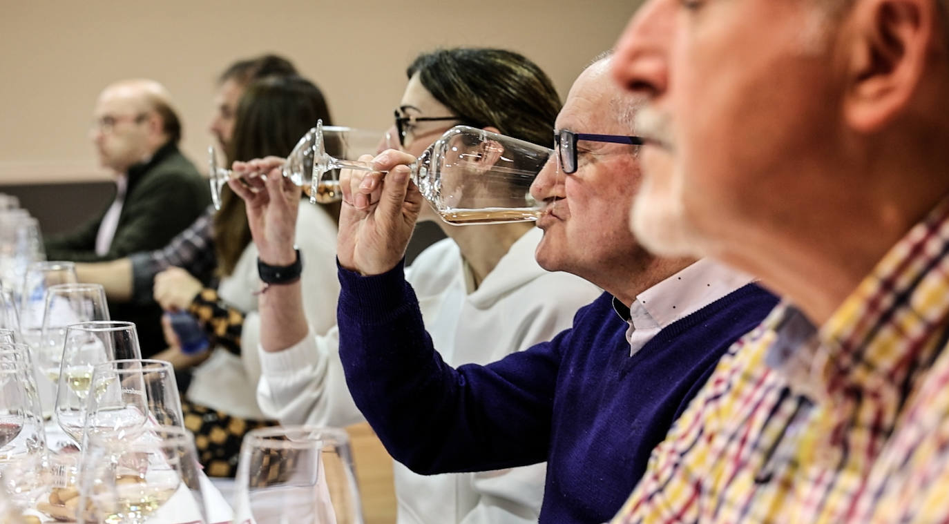 La cata de Bodegas Sínodo, en imágenes