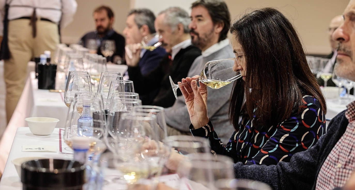 La cata de Bodegas Sínodo, en imágenes