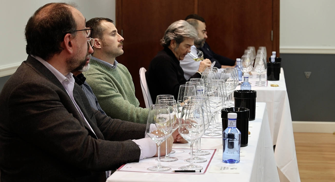 La cata de Bodegas Sínodo, en imágenes