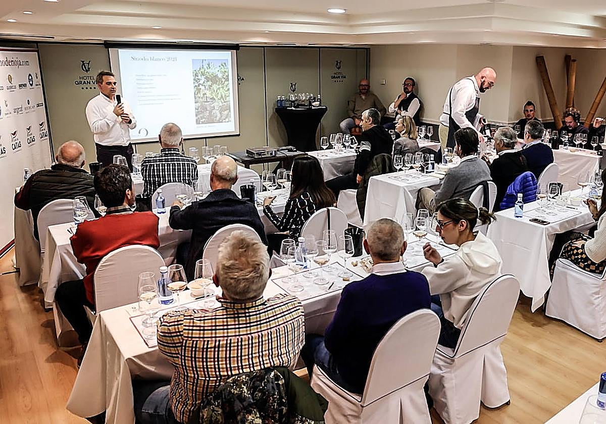 La cata de Bodegas Sínodo, en imágenes