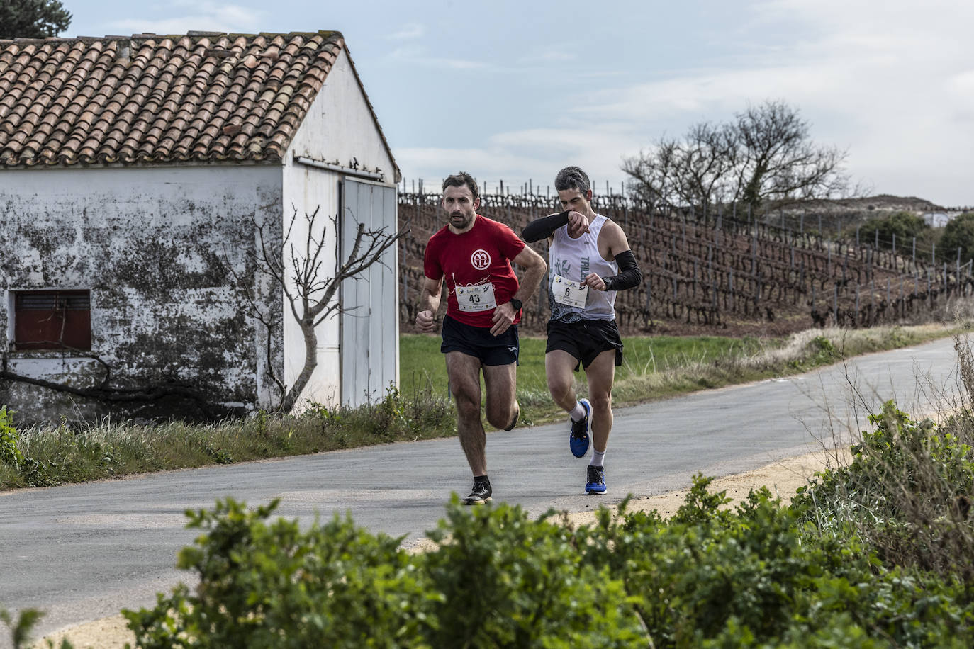Las imágenes de la Media Maratón del Camino