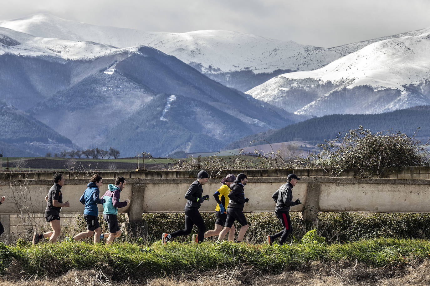 Las imágenes de la Media Maratón del Camino