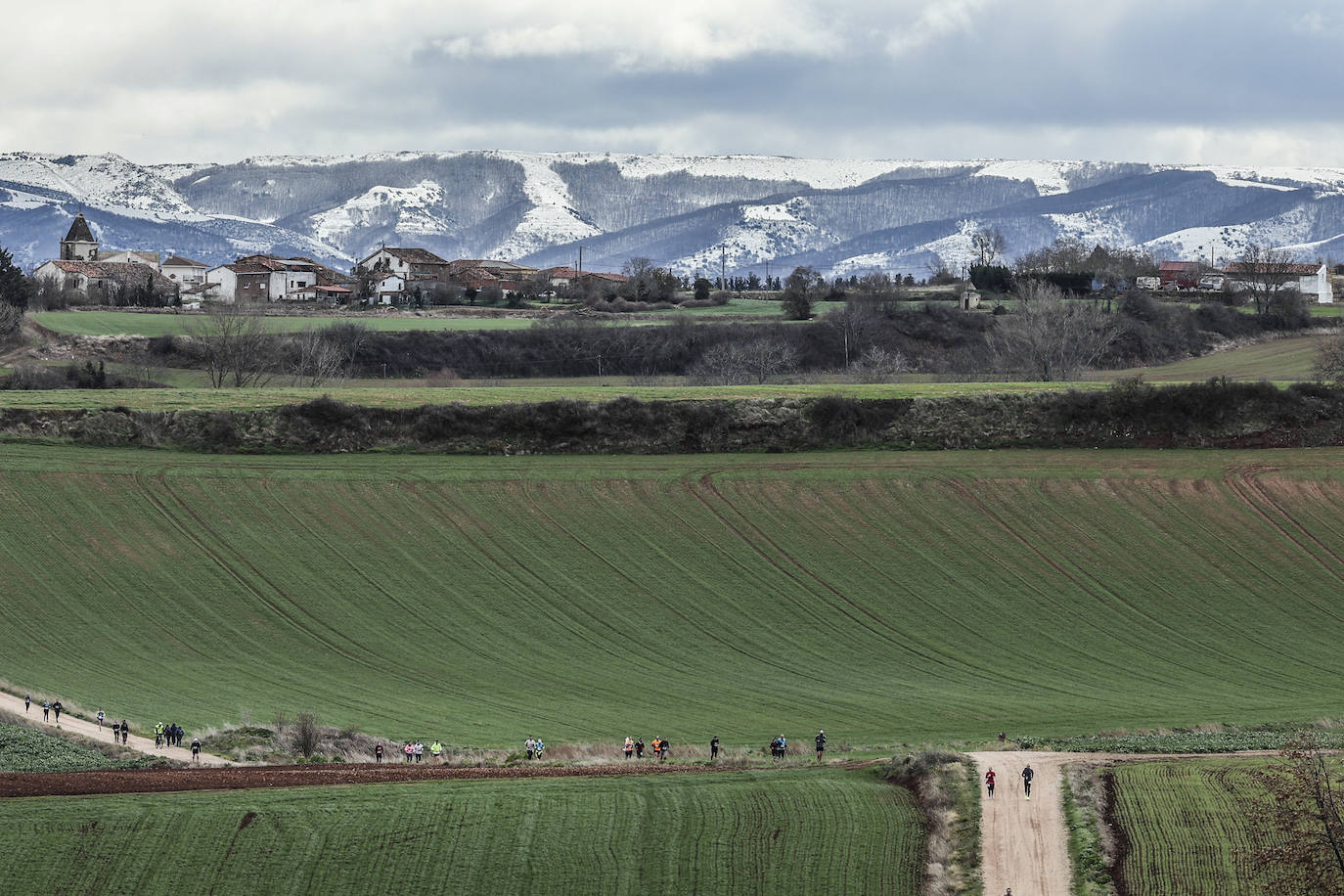 Las imágenes de la Media Maratón del Camino