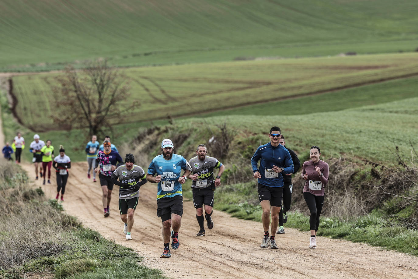 Las imágenes de la Media Maratón del Camino