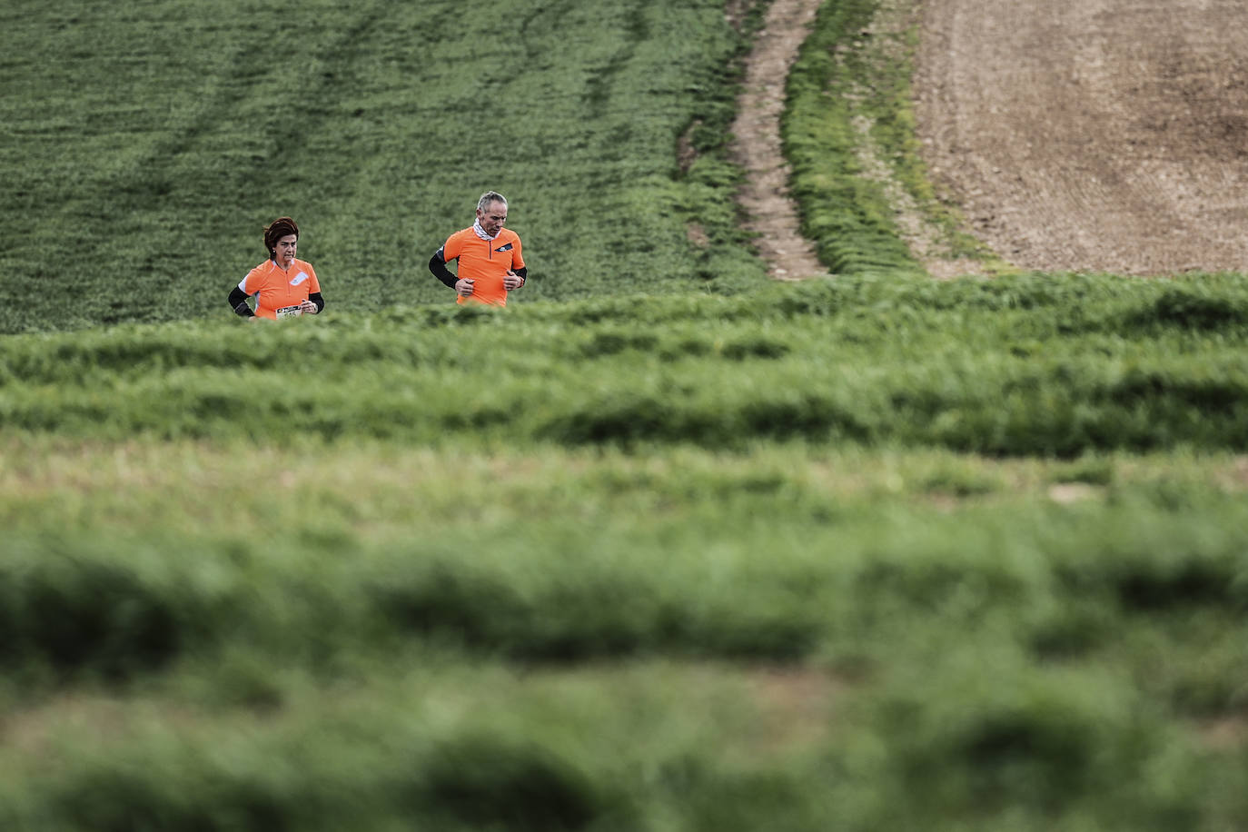 Las imágenes de la Media Maratón del Camino