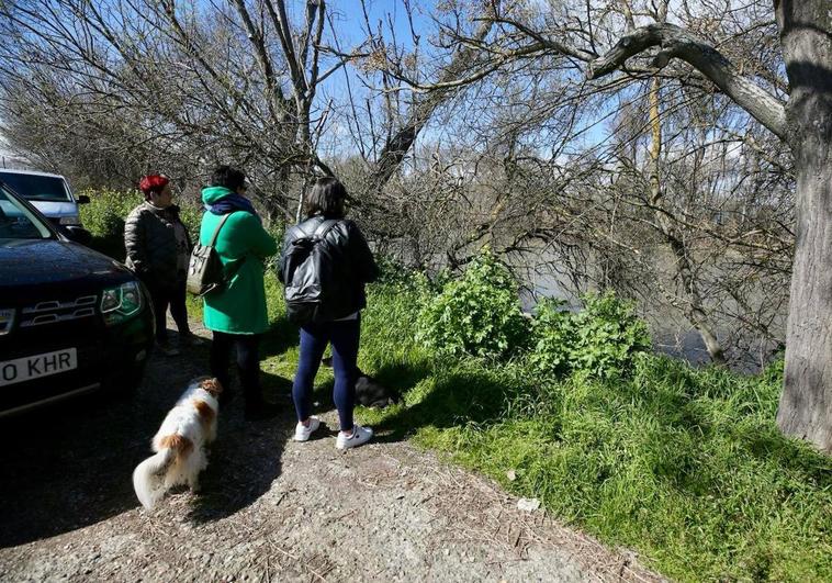 Varias personas siguen la búsqueda de Javier en el Ebro, a la altura de Varea.