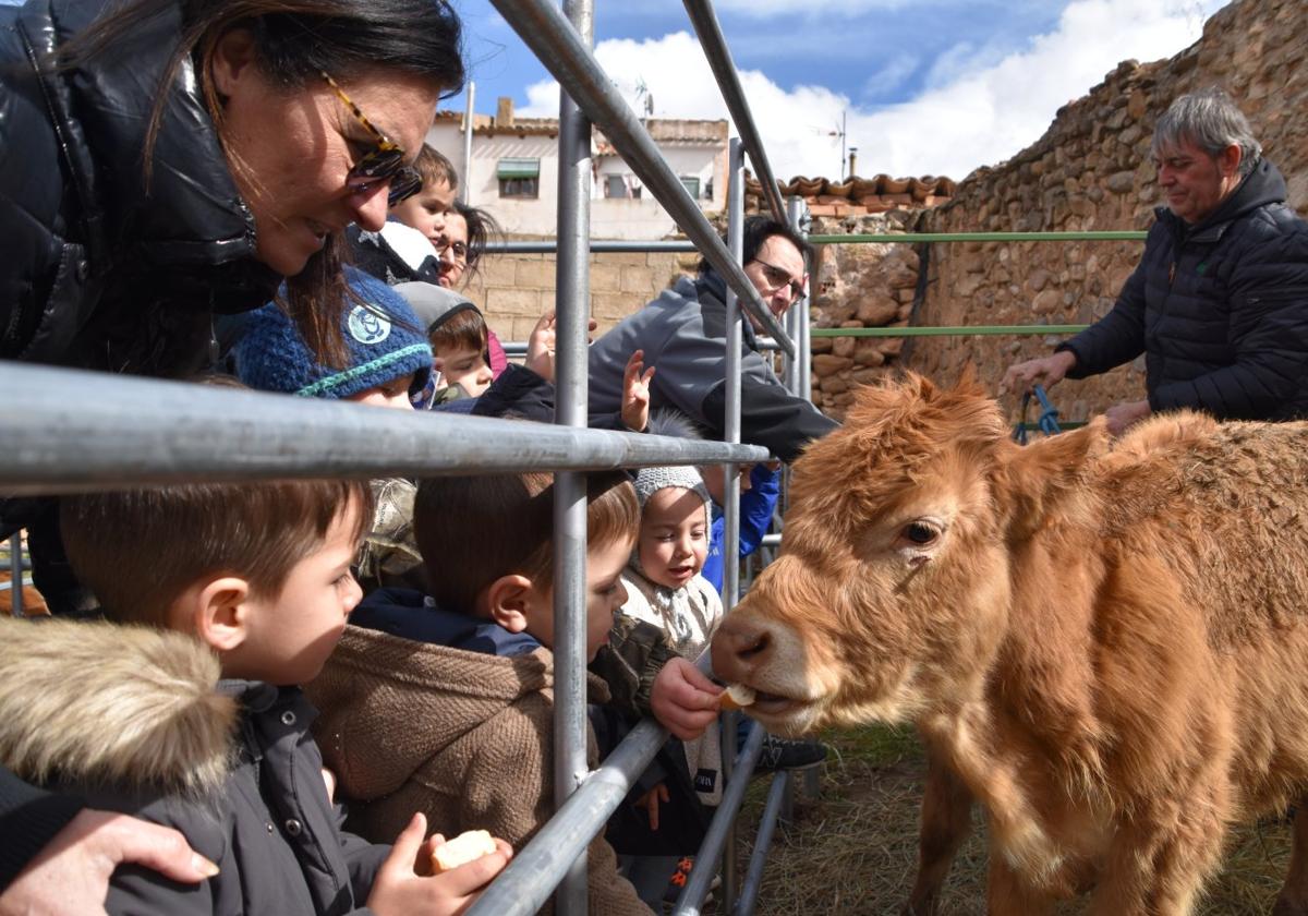 Los pequeños disfrutaron en la zona de corrales con los terneros.