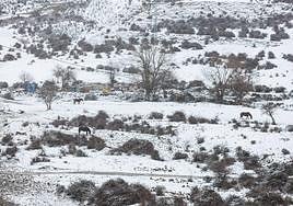 San Román de Cameros, en una imagen de archivo.