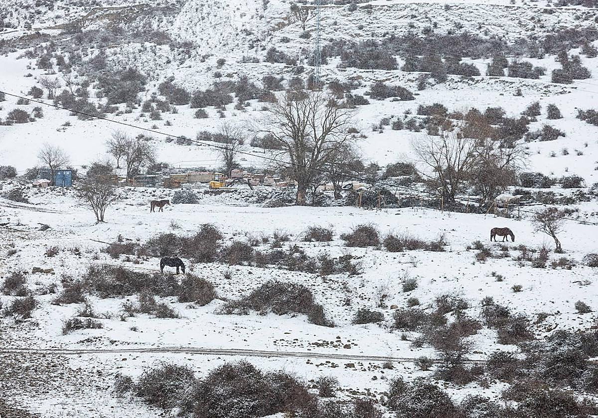 San Román de Cameros, en una imagen de archivo.