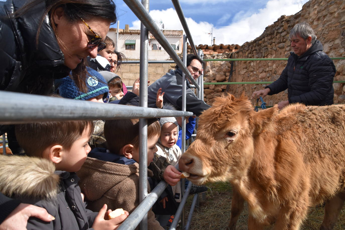 Saca de Vacas de Valverde