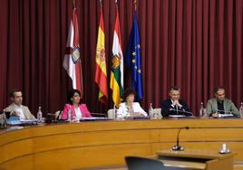Sesión plenaria del Ayuntamiento de Logroño.