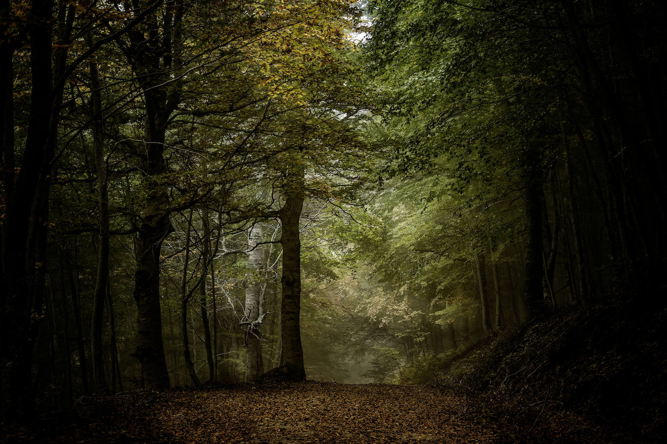 Segundo premio de la categoría Paisajes de La Rioja: 'Otoño'