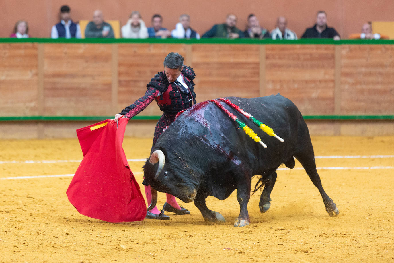 Una tarde taurina en Arnedo