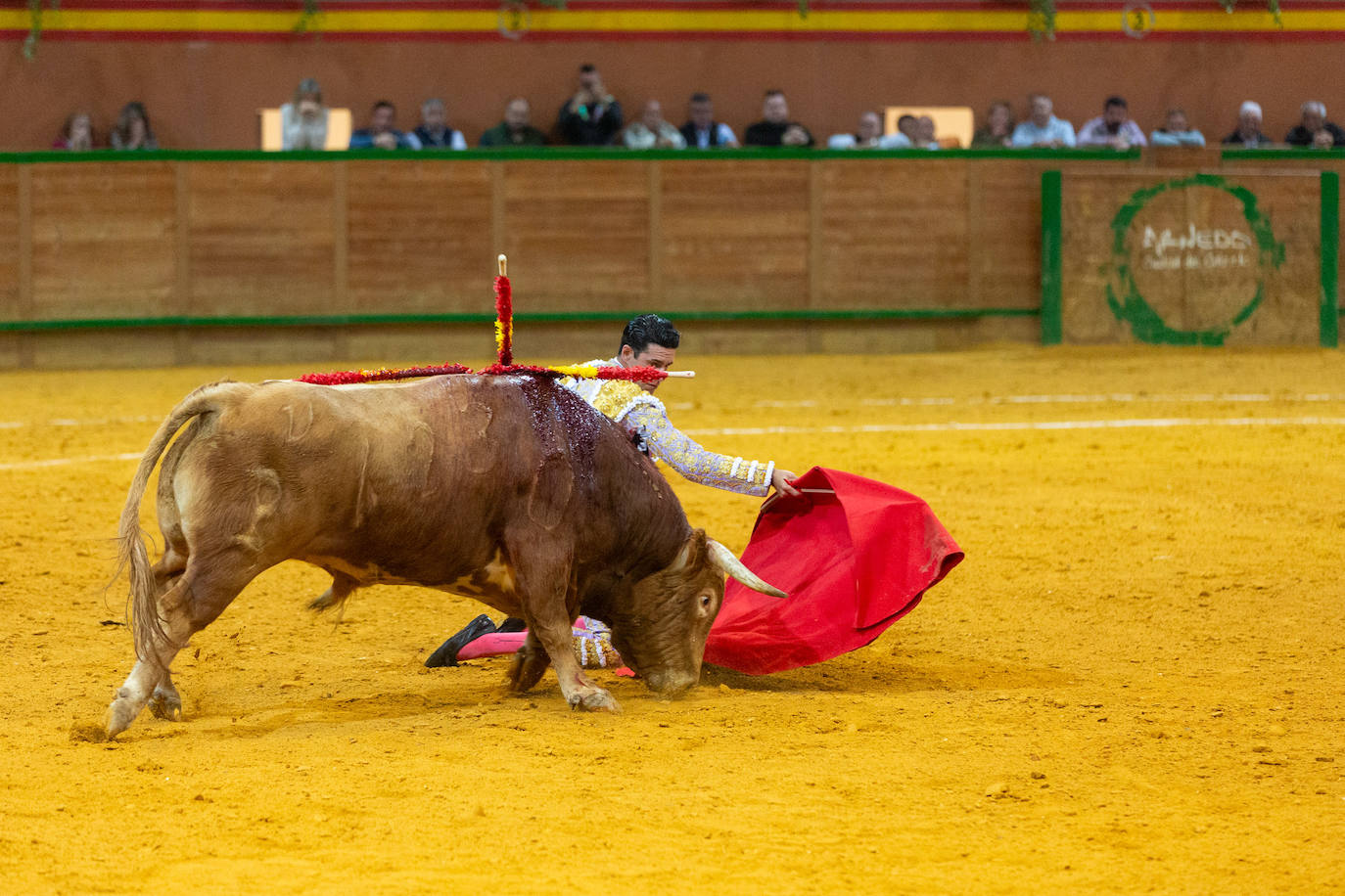 Una tarde taurina en Arnedo