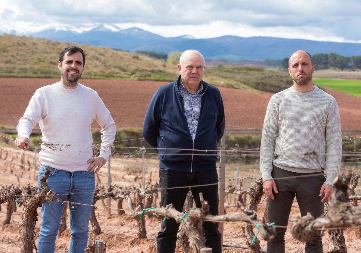 Néstor Alcolea (UPA), Óscar Salazar (UAGR-COAG) y Eduardo Pérez (ARAG-Asaja), en una viña este viernes.