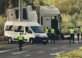El camión del accidente de Sevilla iba a 90 kilómetros por hora, «como si fuera con el piloto automático»