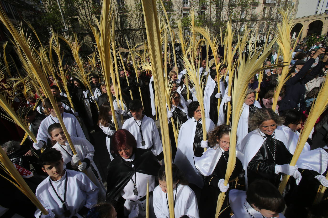 La procesión de &#039;La Borriquita&#039;, en imágenes