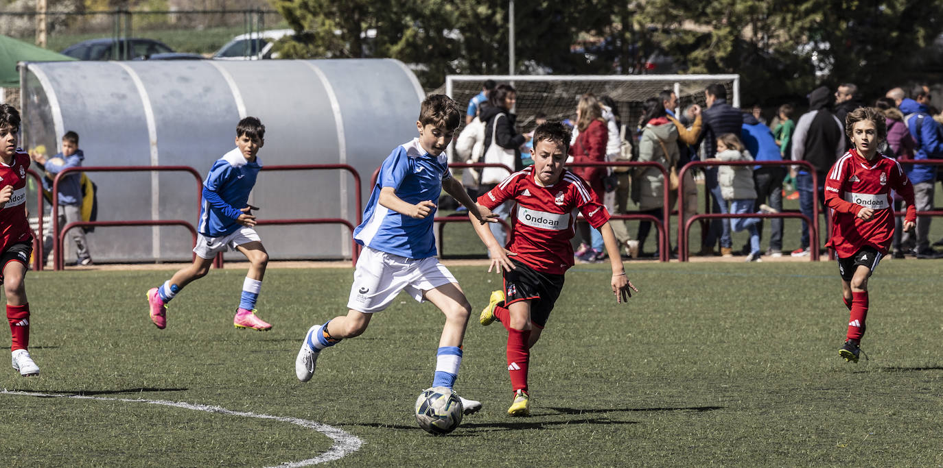 Las imágenes del torneo Laurus