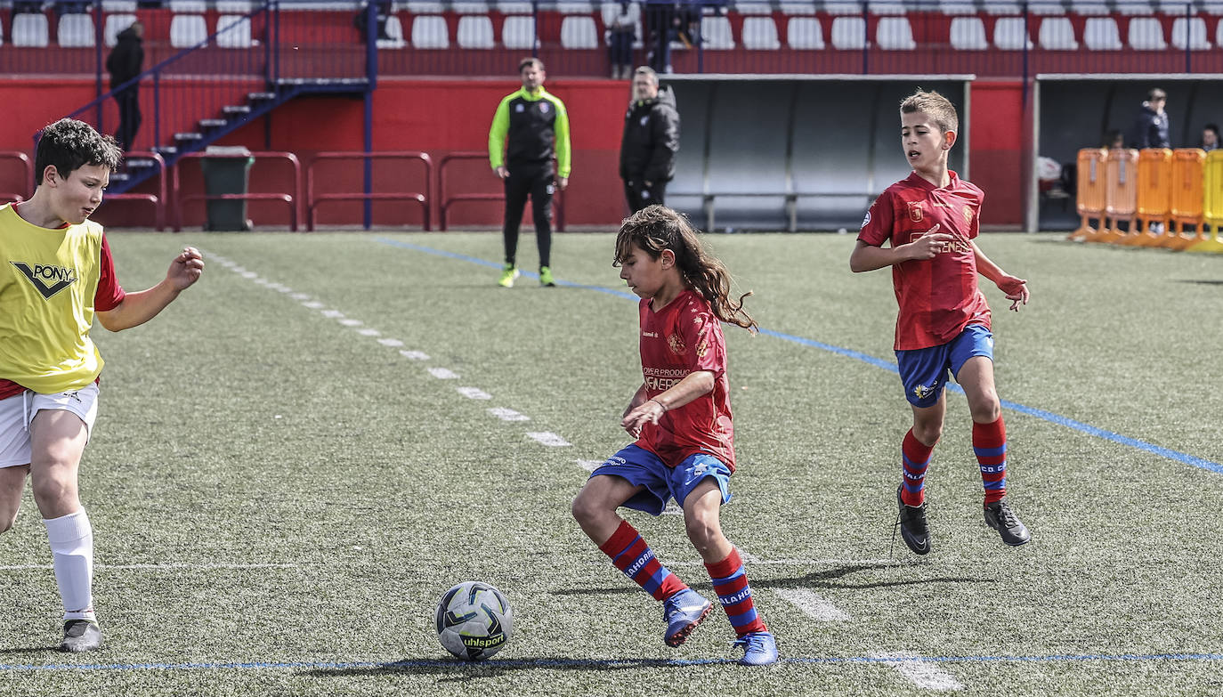 Las imágenes del torneo Laurus