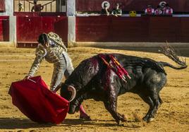 Miguel Ángel Perera, en una de sus actuaciones en Calahorra.