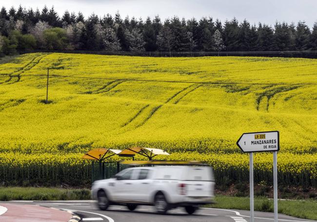 El amarillo manda a un kilómetro de Manzanares de Rioja.