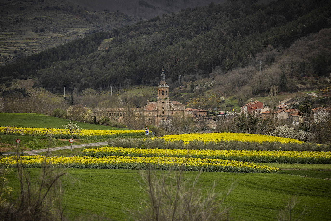 San Millán de la Cogolla