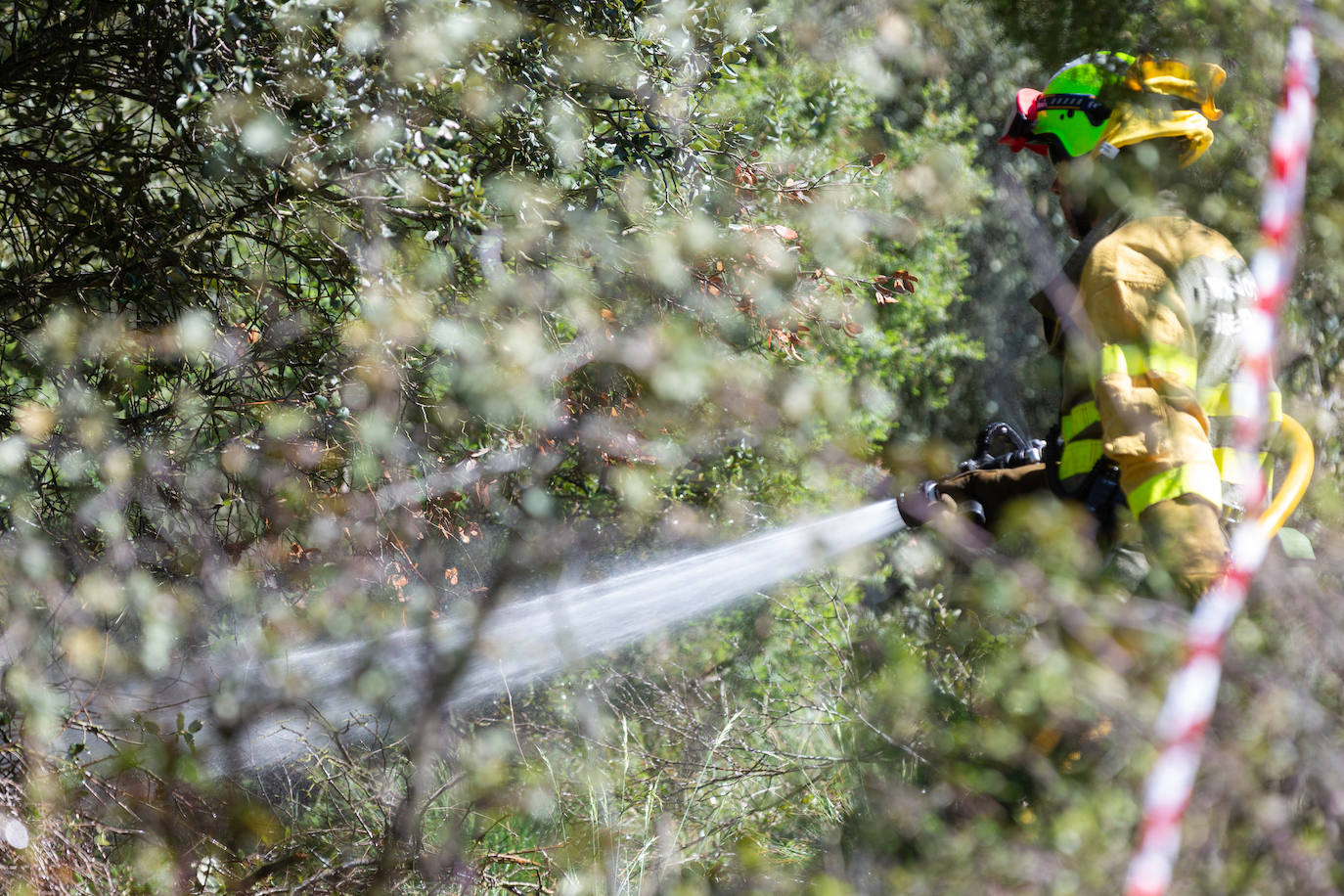 Las imágenes del simulacro de incendio forestal