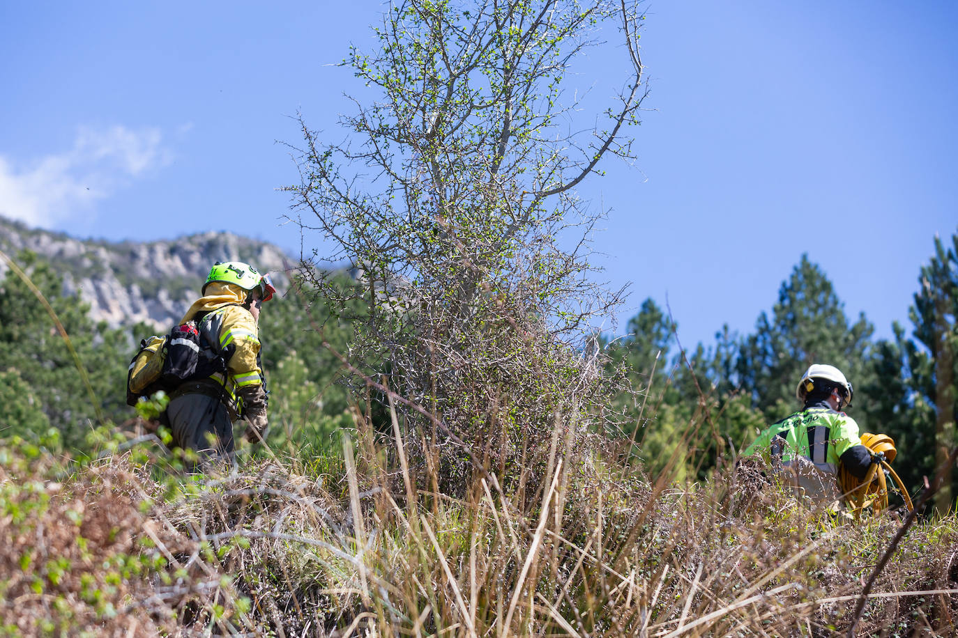 Las imágenes del simulacro de incendio forestal