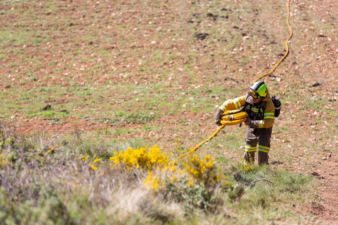 Las imágenes del simulacro de incendio forestal