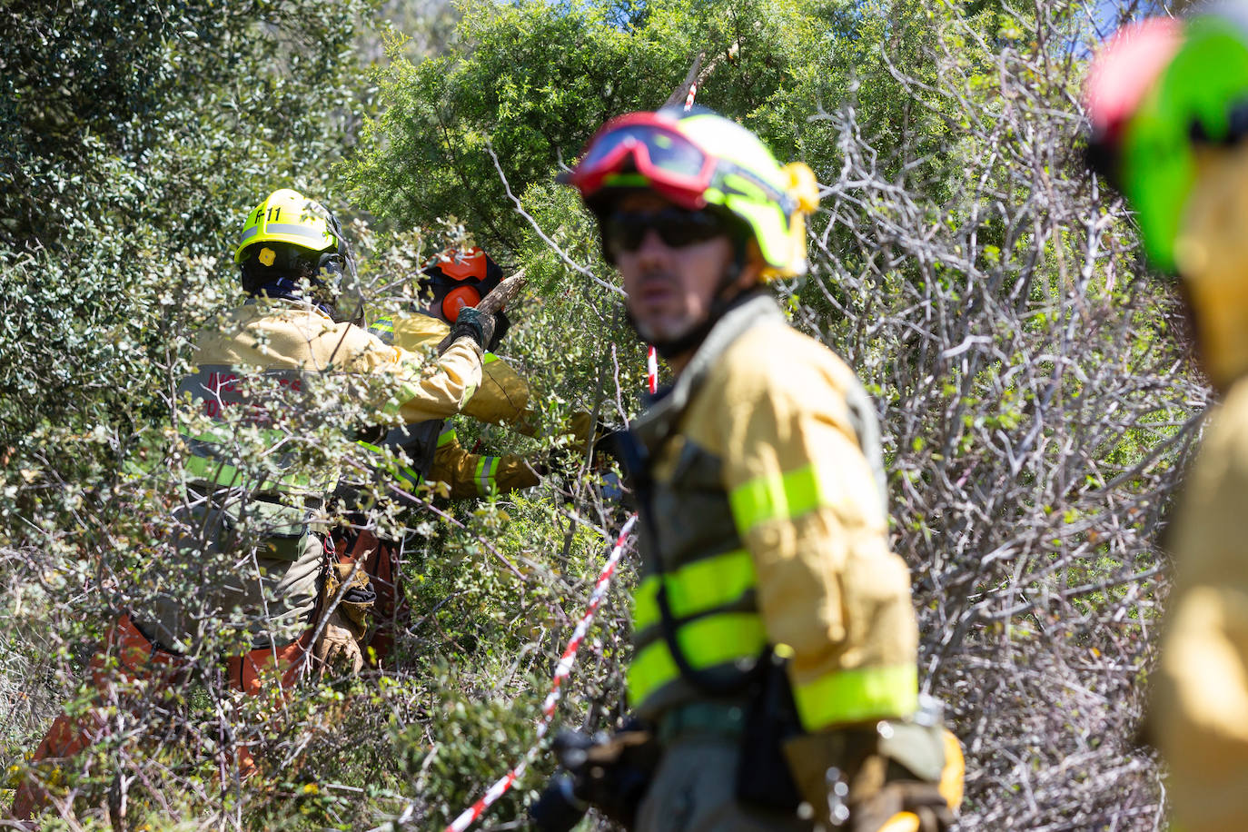 Las imágenes del simulacro de incendio forestal