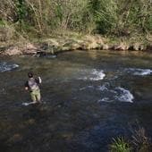 Pescadores inmersos en el río Iregua a su paso por Torrecilla en Cameros durante el pasado jueves.