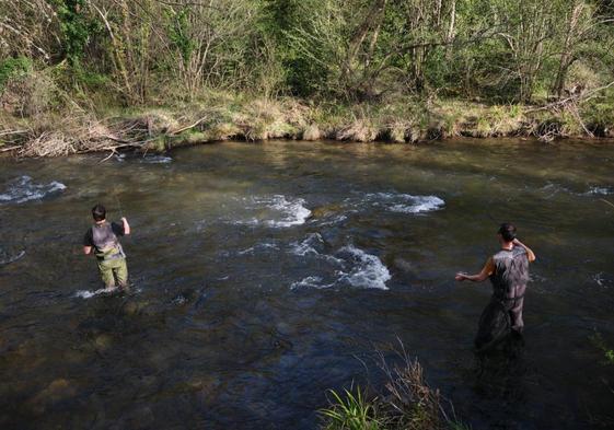 Pescadores inmersos en el río Iregua a su paso por Torrecilla en Cameros durante el pasado jueves.