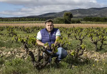 El viticultor en uno de sus viñedos centenarios de Tudelilla