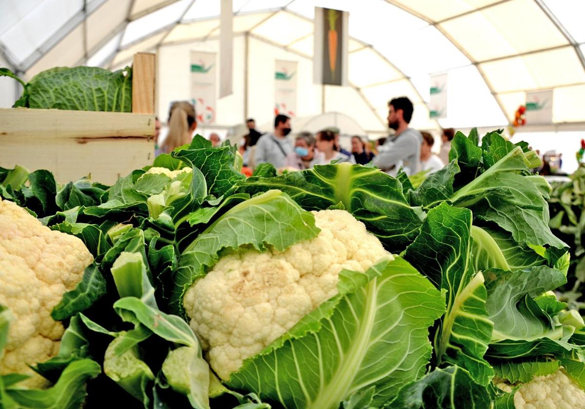 Calahorra celebra desde ayer las Jornadas Gastronómicas de la Verdura en las que presumirá de su huerta.