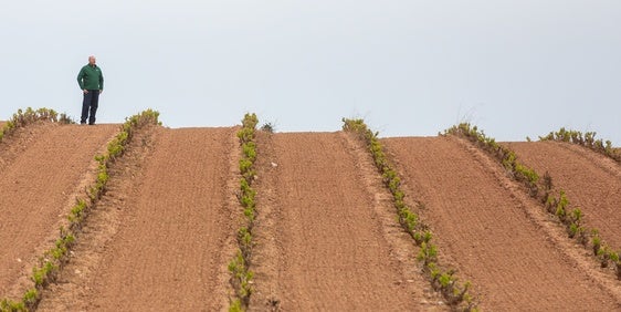 El paro sube en 2.300 personas en el primer trimestre en La Rioja hasta los 17.800 desempleados