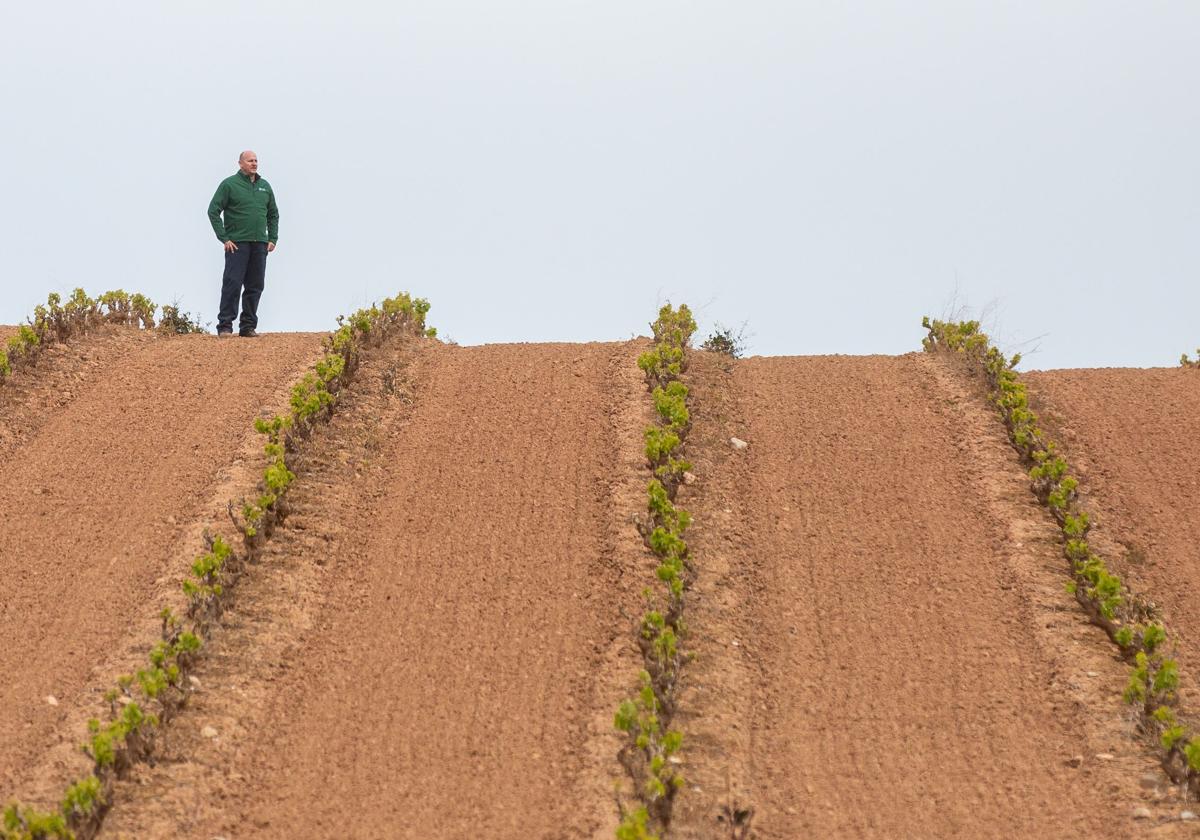 El paro sube en 2.300 personas en el primer trimestre en La Rioja hasta los 17.800 desempleados