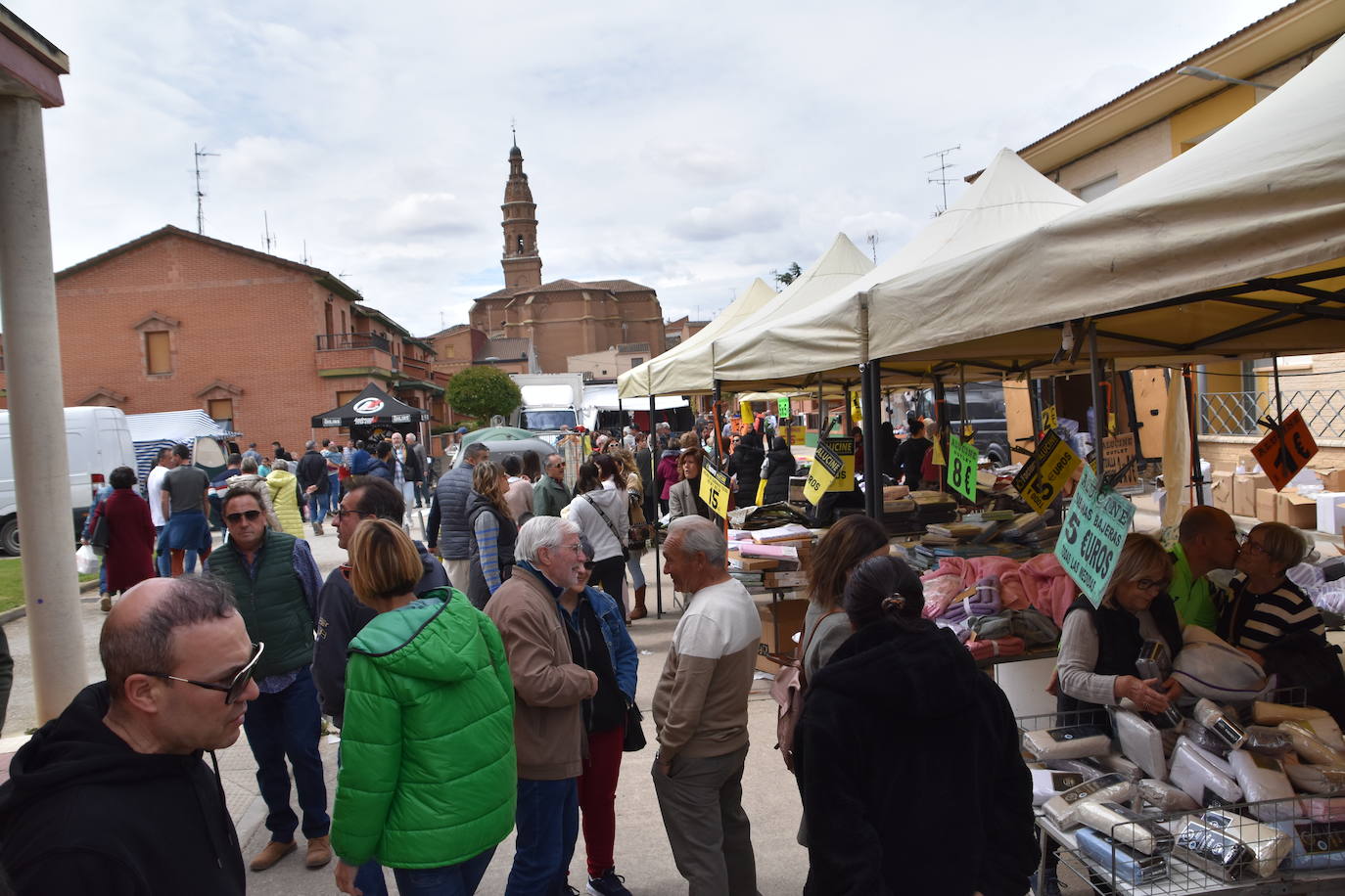Gran ferial de ganado equino en Rincón de Soto