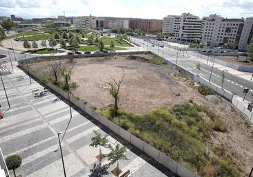 Cinco torres de casi 70 metros, a debate
