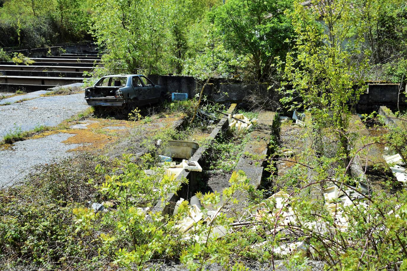 Las imágenes del estado de abandono de la piscifactoria