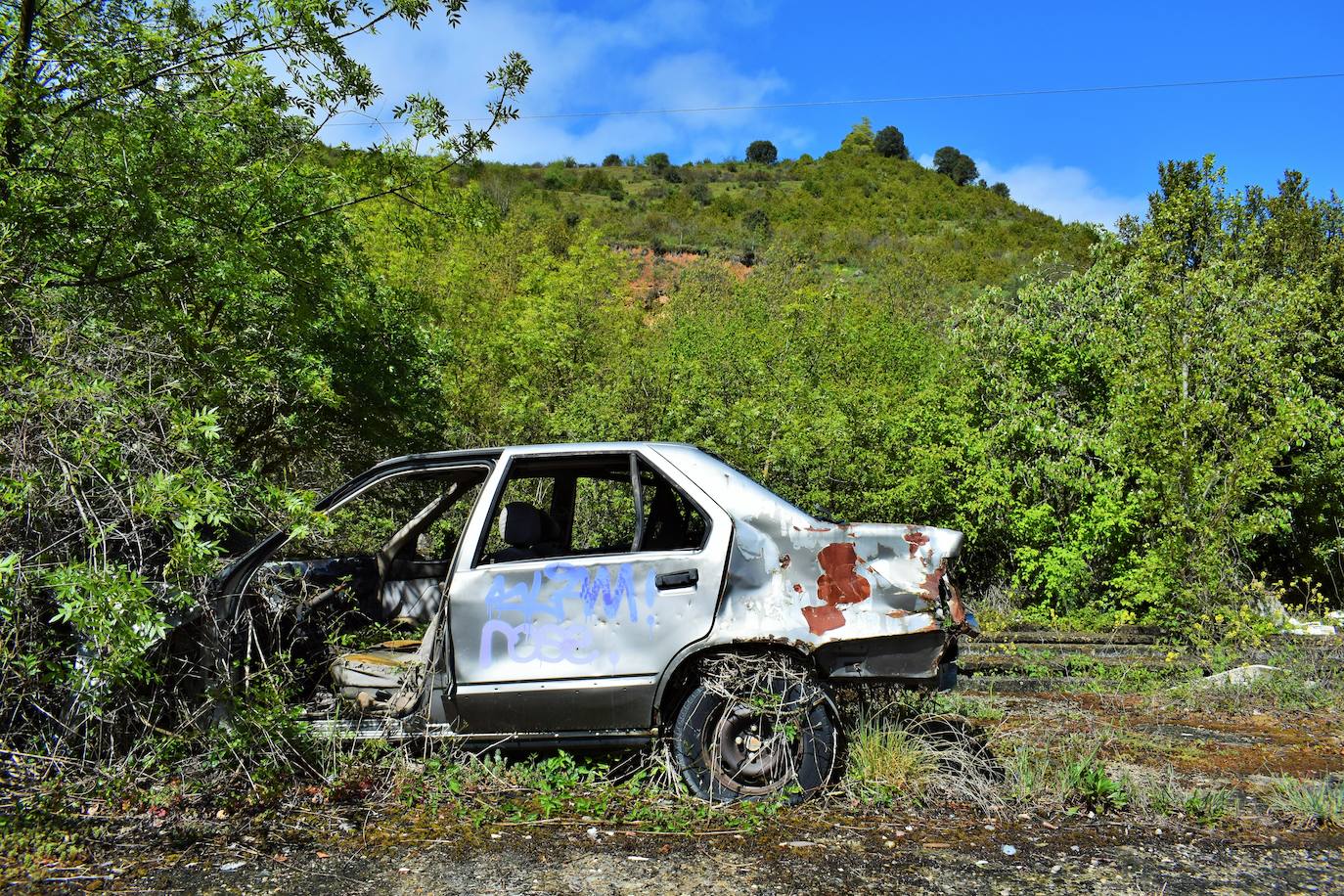 Las imágenes del estado de abandono de la piscifactoria