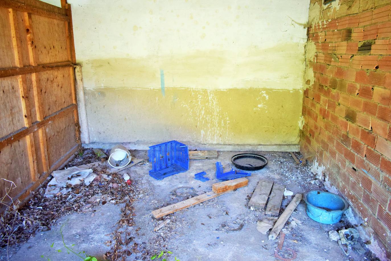 Las imágenes del estado de abandono de la piscifactoria