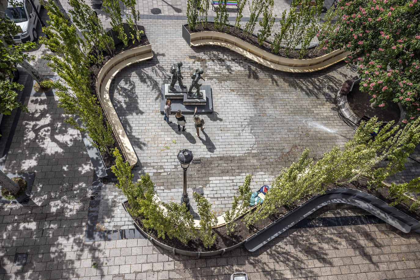 Hilera de pequeños chopos, muy esbeltos, que mediante su repetición en un recorrido sinuoso generan un muro vegetal permeable.